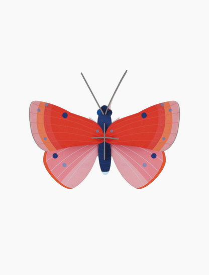 Speckled Copper Butterfly - muurdecoratie | Studio Roof - de inKijk