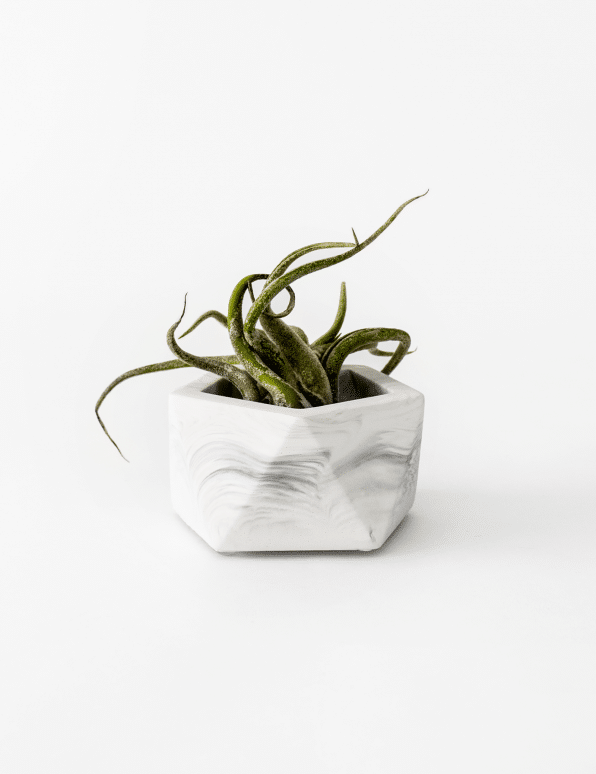 Vand theelicht- en luchtplanthouder - Ø 4,7 cm - white marble | House Raccoon - de inKijk