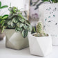 Palua planter - Ø8,5cm - olive green | House Raccoon