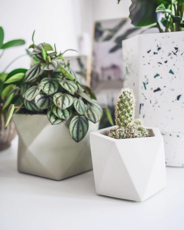 Palua planter - Ø8,5cm - olive green | House Raccoon