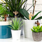 Mini hunks voor plantenpot | Gift Republic