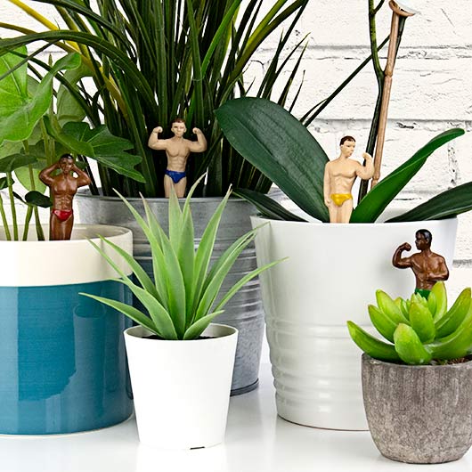 Mini hunks voor plantenpot | Gift Republic