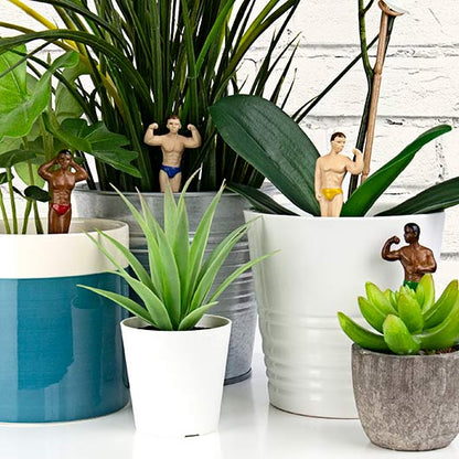 Mini hunks voor plantenpot | Gift Republic - de inKijk