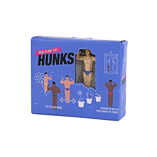 Mini hunks voor plantenpot | Gift Republic