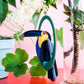 Swinging Toucan, pop-out card | Studio Roof