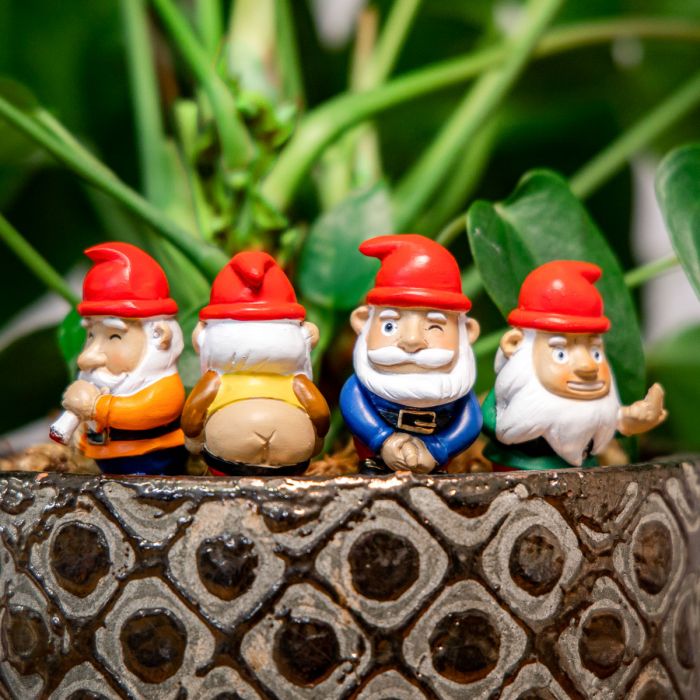 Naughty gnomes - kabouters voor in plantenpot | Gift Republic